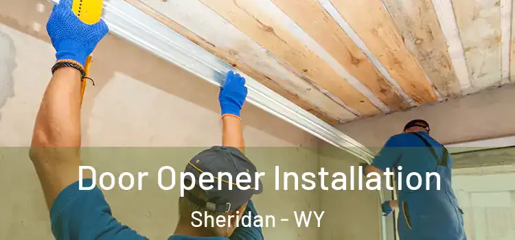  Door Opener Installation Sheridan - WY