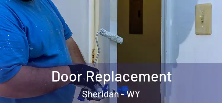  Door Replacement Sheridan - WY