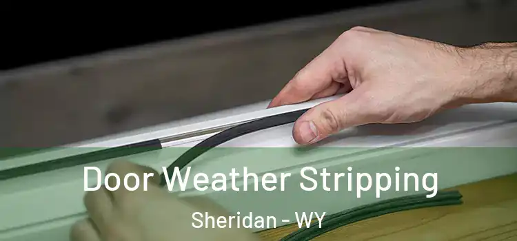  Door Weather Stripping Sheridan - WY
