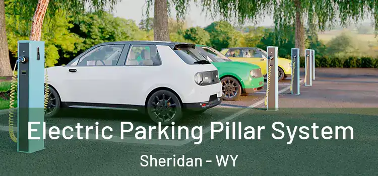 Electric Parking Pillar System Sheridan - WY