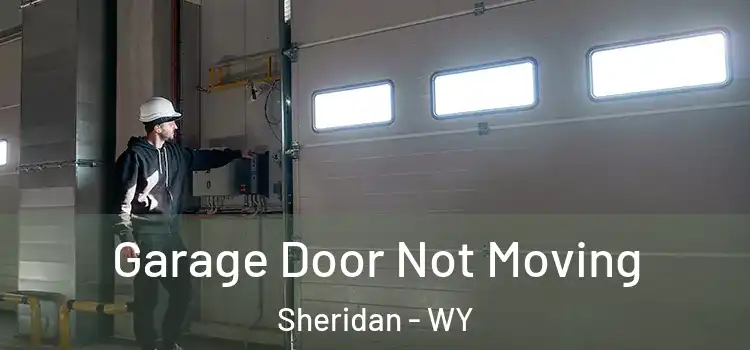  Garage Door Not Moving Sheridan - WY