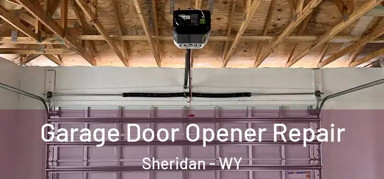  Garage Door Opener Repair Sheridan - WY