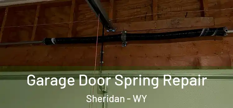  Garage Door Spring Repair Sheridan - WY