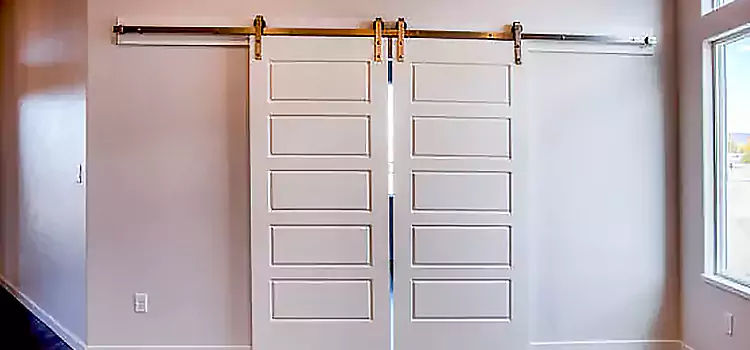 Glass Barn Door with Installation Hardware Kit Sheridan