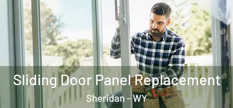  Sliding Door Panel Replacement Sheridan - WY